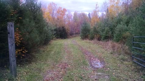 Gated entrance to the tipi land