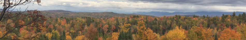 Fall foliage from the ridgetop
