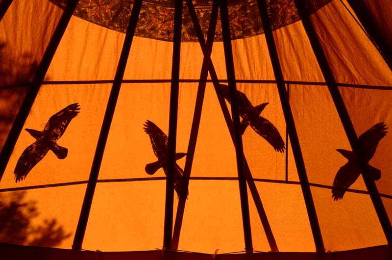 From inside the tipi:  The sun lighting up the ravens painted on the canvas